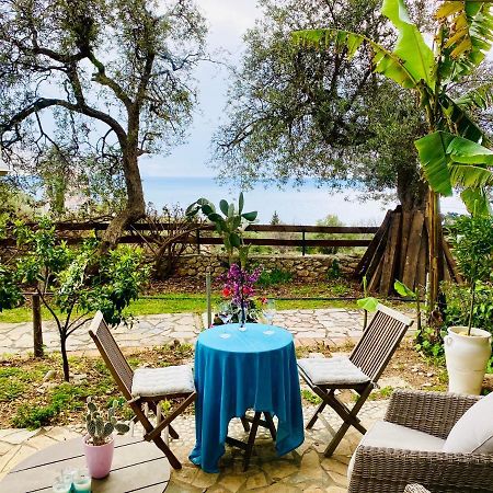 Olives Terrace B2A5 Apartment ديرمي المظهر الخارجي الصورة